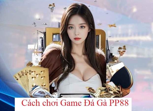 Kinh nghiệm Game Đá Gà PP88?